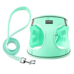 BOOMIBOO Dog Harness with Leash Set, No Pull Adjustable Reflective Step-in Puppy Pet Vest Harnesses for Small Medium Large Dogs and Cats,Green XS