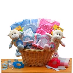 Gift Basket Dropshipping Double Delight Twins New Babies Gift Basket - Pink & Blue