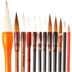 Corciosy 12 Pieces Chinese Calligraphy Brush Set - Premium Painting Writing Watercolor Sumi Brushes Set Kanji Japanese Drawing Art Brushes with Roll-up Brush Holder
