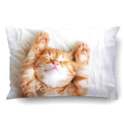 Emvency Cat Throw Waist Pillow Case 20x30 Inches Queen Size Decorative Cushion Pillowcases Kitten Throw Pillow Cover with Hidden Zipper for Bedroom Decor Sofa Couch