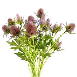 HUIANER Artificial Thistle Spray Eryngium Flowers 2pcs Artificial Eryngium Artificial Sea Holly Flowers for Valentine's Day Bridal Bouquet Wreath Table Centerpiece Decor (Purple)