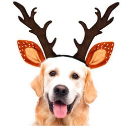QOUBAI Christmas Dog Reindeer Antlers Xmas Pet Antlers Costume Dog Hat Headbands Adjustable Elk Deer Ears Xmas Dog Cat Reindeer Costumes Cap Headwear Accessories L (for Medium Big Dogs)