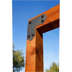 Simpson Strong-Tie Outdoor Accents APL6 Strap Tie (5