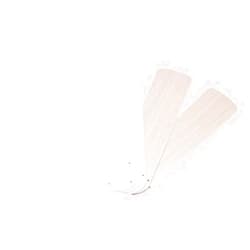 Westinghouse 7741600 52-Inch White/Bleached Oak Replacement Fan Blades, Five-Pack