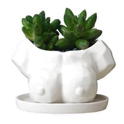 Kocris Casa Body Shape Succulent Plant Planter Pots Artistical Ceramic Small Indoor Planters Flower Cactus Mini Pot with Drainage Hole