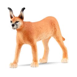 Schleich Wild Life New 2023, Wild Animal Jungle Safari Toys for Kids, Female Caracal Toy Figurine, Ages 3+ Caracal Baby