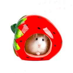 CHUQIANTONG Small Animal Hideout Ceramic Hamster House Chinchilla Mini Hut Cave Cage Accessories for Dwarf Hamsters Gerbils and Hedgehog(Strawberry)