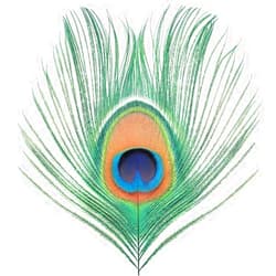 XTC Format: Vinyl Apple Venus Vol 1