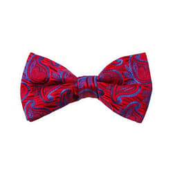 Dan Smith Orange Red Men Microfiber Bow Tie For Party Bowties 25.6