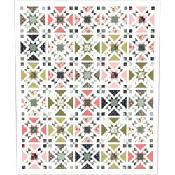 Riley Blake Assortment of Premium Quilt Boxed Kits from Your Favorite Designers, Including Lori Holt, Sandy Gervais, J. Wecker Frisch, etc.. (Confetti Stars Quilt Boxed Kit)