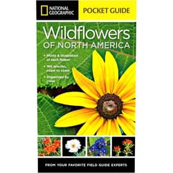 By Catherine H. Howell (Author) National Geographic Pocket Guide to Wildflowers of North America