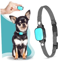 TrainTail Bark Collar for Small/Medium Dogs, No Shock Anti Bark Collar, Rechargeable Anti Barking Collar w/2 Vibration & Beep Modes, Waterproof Shockless Smart Dog Stop Barking Control Device (Blue)