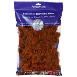 SuperMoss (23188) Reindeer Moss Preserved Bag, 8 oz, Rust