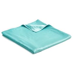 FindPanda Japanese Floor Mattress Futon Mattress Cover (Sea Grass, Bam,Queen)