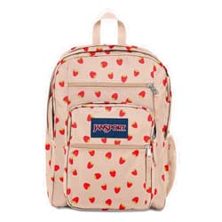 JanSport Laptop Backpack - Computer Bag with 2 Compartments, Ergonomic Shoulder Straps, 15” Laptop Sleeve, Haul Handle - Book Rucksack - Strawberry Shower
