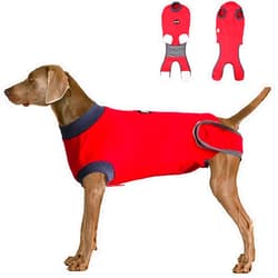 ETIAL Dog Recovery Suit Body Suit After Surgery Dog Onesie Cone Alternatives Spay Neuter Suit Surgical Recovery Suit for Female Male Dogs (XXX-Large, Red)