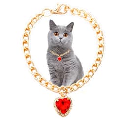 BBDDKEG Cat necklace choker with heart-shaped rhinestone pendant