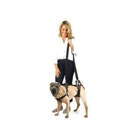 PetSafe CareLift Support Harness - Full Body Lifting Aid with Handle - Great for Pet Mobility and Older Dogs - Comfortable, Breathable Material - Easy to Adjust, Medium