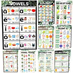 CHUNNIN 16Pcs Boho Greenery Sound Wall Classroom Phonics Posters Eucalyptus Language Arts Charts Supplies for Kids Toddler Learning Language Arts Grammar Posters English Phonics Posters for Wall Decorations