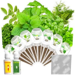 LYKOCLEAN Gourmet Herb Seed Pods for AeroGarden, Ahopegarden, iDOO Hydroponics Growing System Indoor, 400+ Seeds, Germination Kits Include Basil, Cilantro, Dill, Parsley, Mint, Shiso, Liquorice(7-Pods)