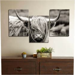 Gardenia Art Scottish Highland Cow Canvas Print Animal Painting Wall Art for Living Room pet Shop Zoo Decoration 12x16 inch/Piece, Framed, 3 Panels