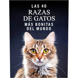 Libros de Trébol Azul Las 40 Razas de Gatos más Bonitas del Mundo: Un Libro de Fotografías a todo Color para Personas Mayores con Alzheimer o Demencia (La serie de libros ilustrados 