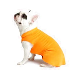 Gold Paw Series Stretch Fleece Pumpkin 18