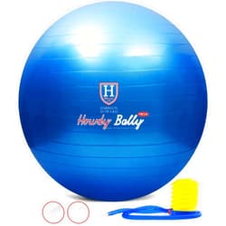 Harrison Howard Mega Horse Play Ball Anti-Burst Giant Horse Ball Horse Soccer Ball