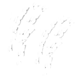 Trubetter 24pcs 3D Butterfly Removable Mural Stickers Wall Stickers Decal for Home and Room Decoration (White-24pcs)