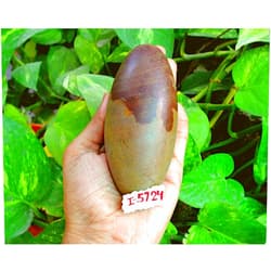 Shiva Lingam Shop Natural Narmadeshwar Shivling Narmada Shivlingam ~I-5724