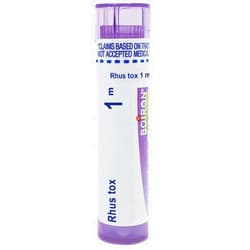 Boiron Rhus Toxicodendron 1M Md 80 Pellets for Joint Pain Improved by Motion