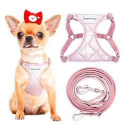 Puppytie No Pull xs Dog Harness with Multifunction Dog Leash,Soft Adjustable No Choke Escape Proof Pet Harness Vest,Glossy Pink,XXS
