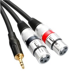 tisino Dual XLR to 3.5mm Stereo Mic Cable, 2 XLR Female to 1/8 Inch Mini Jack Y-Splitter Breakout Lead Microphone Cord - 6.6 feet