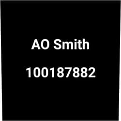 AO SMITH WATER PRODUCTS 100187882 K, Flame Sensor