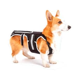 LufeLux Back Brace for Dogs with IVDD, Arthritis, Luxating Patella, Surgical Recovery and Rehabilitation, Dachshund Back Pain Relief, IVDD Harness(Medium)