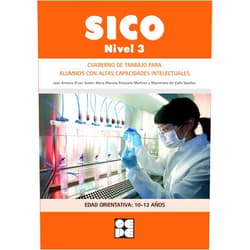 Juan Antonio Elices Simón,Mª Marcela Palazuelo Martínez,Maximiano del Caño Sánchez SICO - Nivel 3