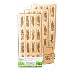 HAMAMA Microgreens Growing Kit Replacements - Broccoli Indoor Sprouts Mat - Seed Quilts Easy Setup Pack of 3 - No Tray Only Seeds Refills