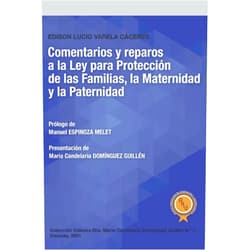 Edison Lucio Varela Cáceres,María Candelaria Domínguez Guillén,Manuel Espinoza Melet Comentarios y reparos a la Ley para Protección de las Familias, la Maternidad y la Paternidad (Colección Cátedra Dra. María Candelaria Domínguez Guillén) (Spanish Edition)