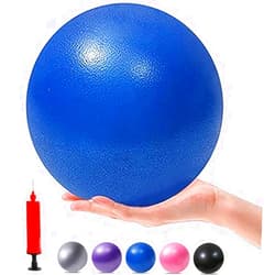 XIECCX Mini Yoga Balls 6 Inch Exercise Pilates Therapy Balance Micropore Ball Barre Equipment for Home Stability Training Physical Core Training with Pump