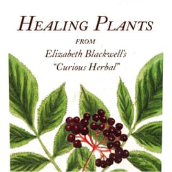 Marta McDowell Healing Plants: From Elizabeth Blackwell's A Curious Herbal (Tiny Folio)