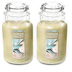Yankee Candle Sage & Citrus Scented, 22oz Single Wick Candle, Over 110 Hours of Burn Time, Ideal for Home Decor and Gifts, Classic Large Jar, Ivory (Pack of 2)