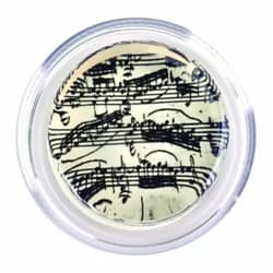 Magic Rosin - Ultra Bach Manuscript - Professional Grade Instrument Rosins for Violin, Cello, Viola, Bass Bows - Excellent Grip - Delivers Clear, Complex Tone - Transparent Low Dust Pine Bow Resin