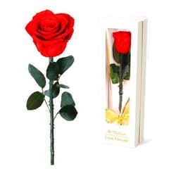 Childom Mothers Day Rose Gifts for Mom,Birthday Gifts for Women,Preserved Red Rose Flower Gifts for Her,Fresh Flower Rose Mom Gifts for Wife,Grandma,Women from Daughter Son,Birthday,Anniversary,Valentines