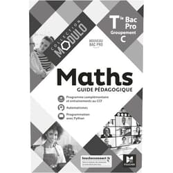 French Edition by Denise Laurent (Author), Ludivine Druel-Lefebvre (Author), Laurent Breitbach (Author), Hervé Gabillot (Author), Sarah Bouyanzer (Author), Fabien Auchère (Author) & 2 more Modulo - MATHS - Tle Bac Pro Groupements C - Éd. 2021 - Guide pédagogique