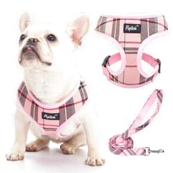 PUPTECK Soft Mesh Dog Harness and Leash Set Pet Puppy Cat Comfort Padded Vest No Pull Harnesses, Light Pink, S