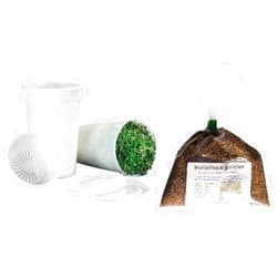 Todd's Seeds Todd’s Seeds - Seed Sprouting Kit with Broccoli and Friends Seed Mix – Easy to Use Sprouting Cup - Complete Seed and Bean Sprout Growing Kit