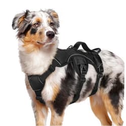 rabbitgoo Escape Proof Dog Harness, Soft Padded Full Body Pet Harness, Reflective Adjustable No Pull Vest with Lift Handle and Leash Clip for Large Dogs Walking Hiking Training, M, Black