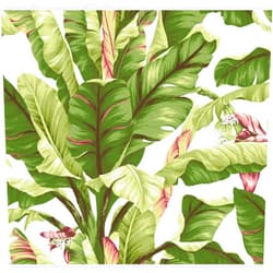 York Wallcoverings Tropics Banana Leaf Removable Wallpaper, White, Light Yellow Dark Green, Brown