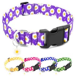 BiPawTi Cute Dog Collars for Medium Dog - Soft Dog Collars for Girls Dog Pretty Floral Flower Collar with Daisies Charms for Female Dog Male Dog (M, Purple)