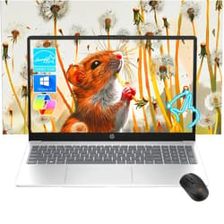 HP Pavilion 15.6